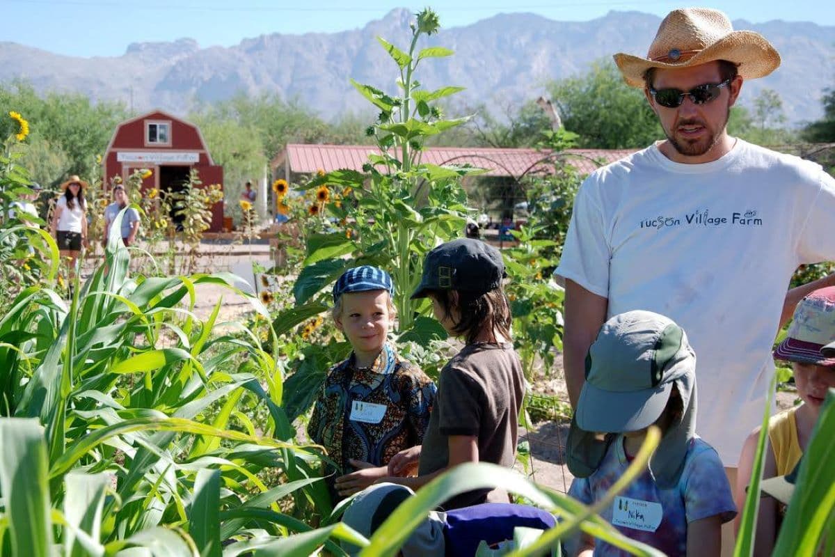 What’s happening at Tucson Village Farm? March 2024 Edition