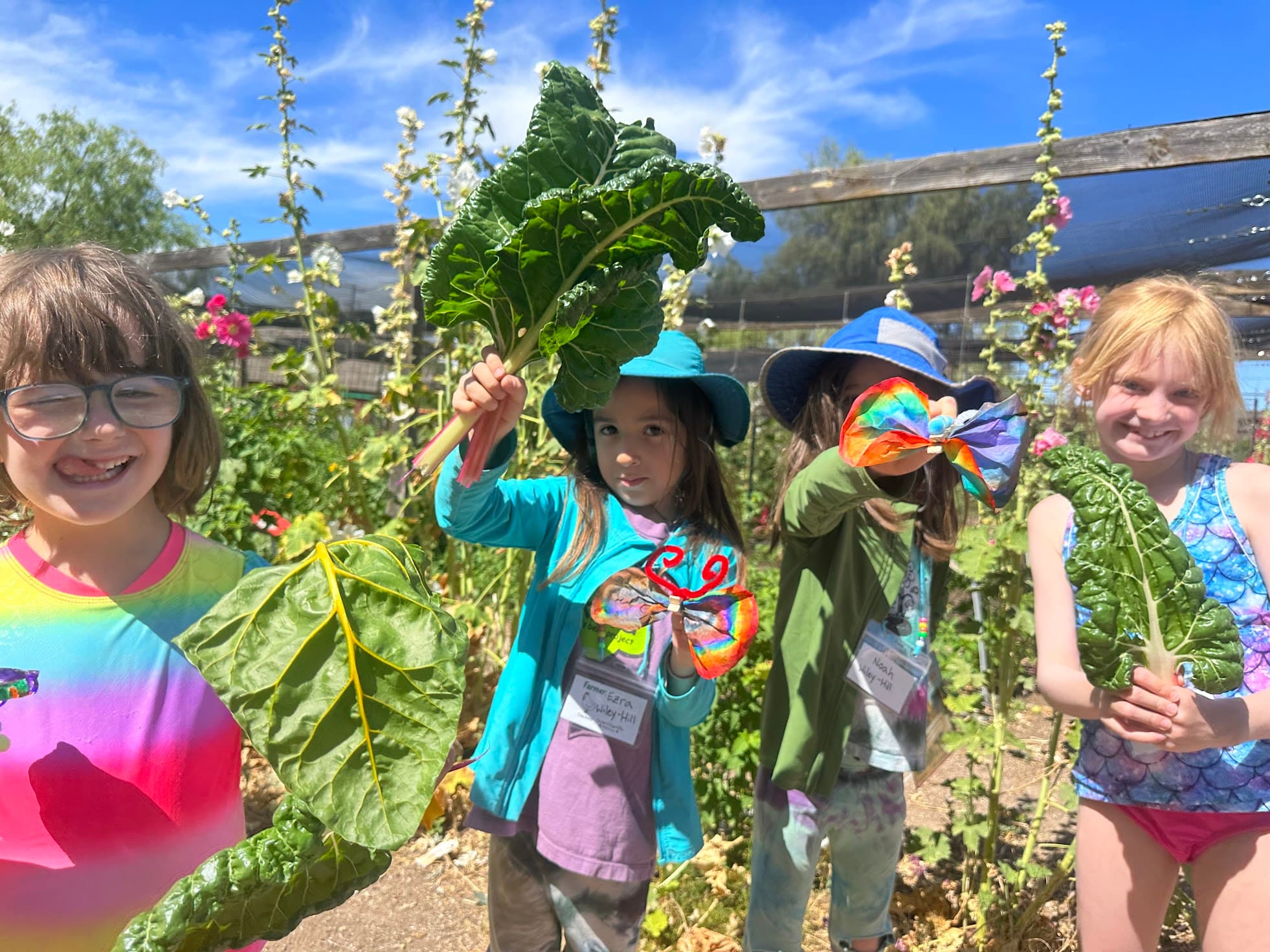 What’s happening at Tucson Village Farm? May 2024 Edition