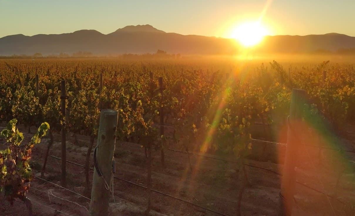Tour Baja California’s Wine Country with Chef Janos Wilder