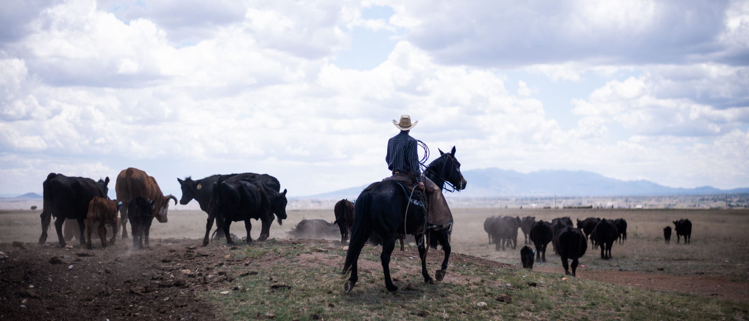 Experiencing the Flavorful Tradition of Sonoita’s Vera Earl Ranch