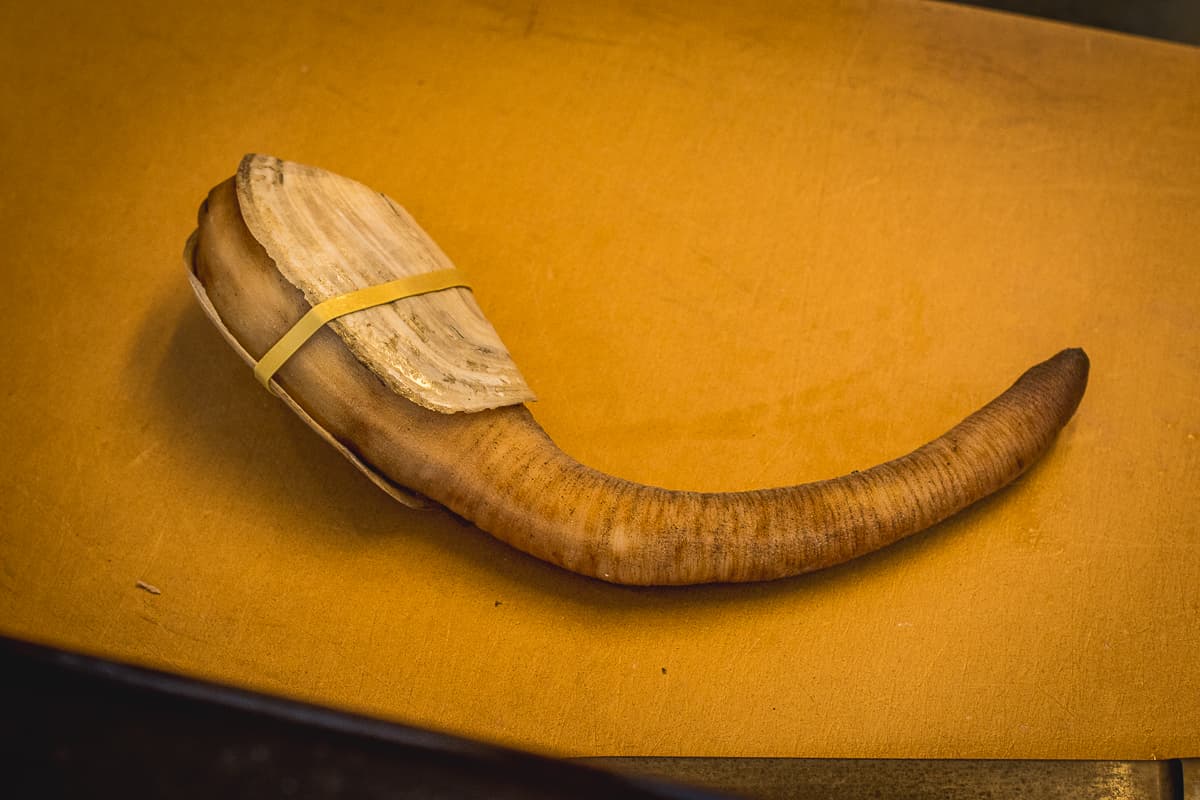 #WeeklyDish (No. 27): Geoduck at Sushi on Oracle (VIDEO)