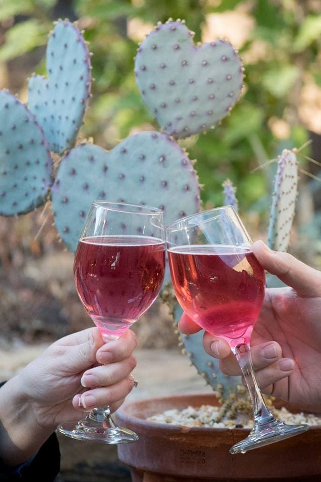 “Wine Down with Wildlife” at the Arizona-Sonora Desert Museum