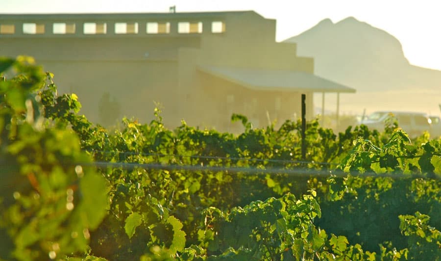 End of Summer Wine Events at Callaghan Vineyards