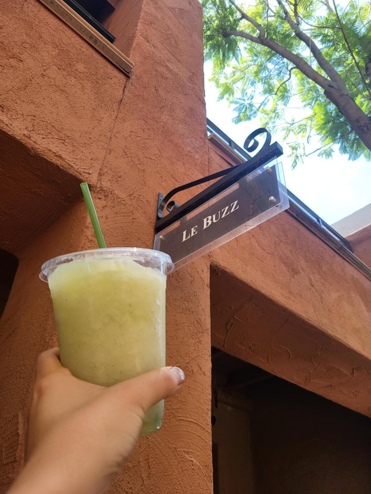 Mojito Lemonade