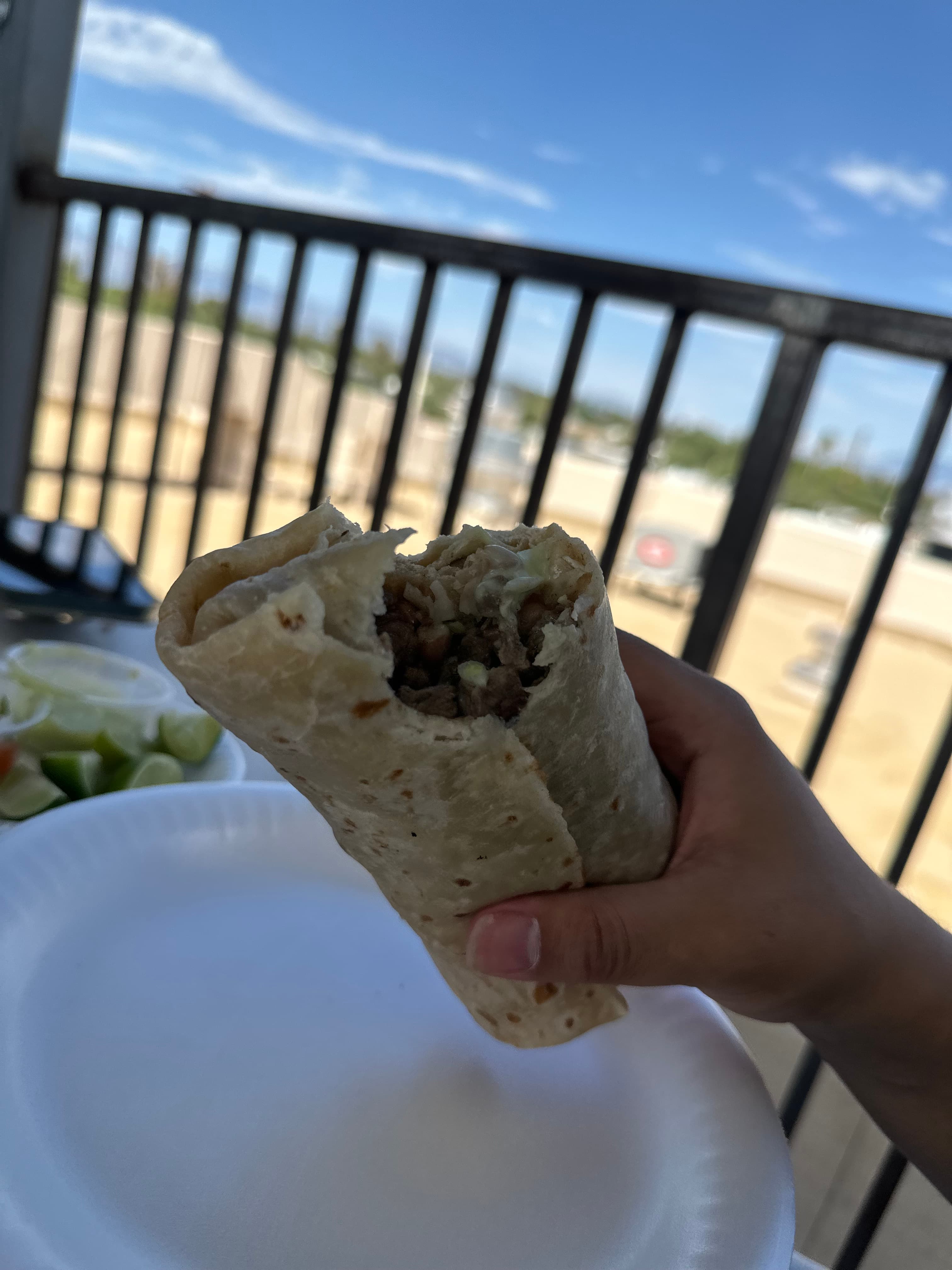 Carne Asada Burrito