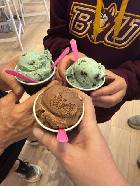 Dark Chocolate and Mint Chip Gelato