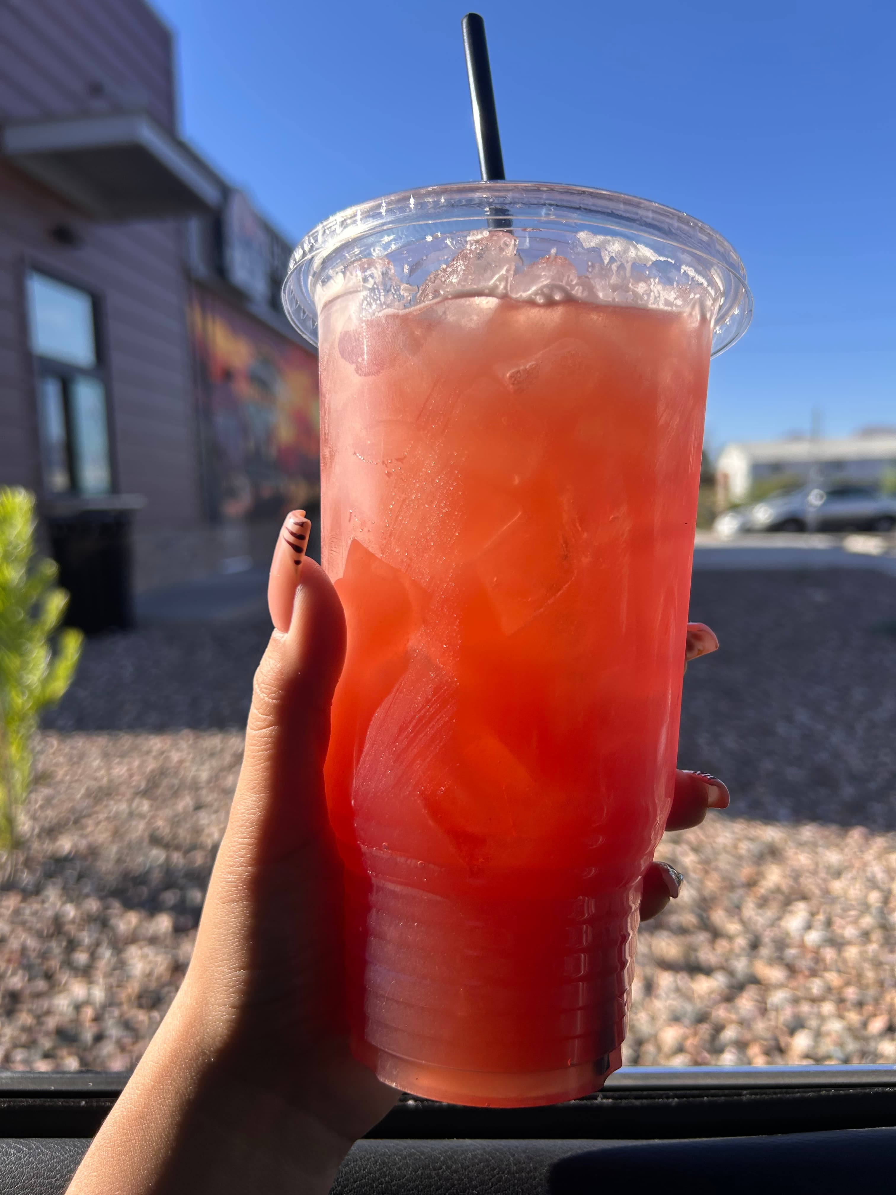 Prickly Palmer
