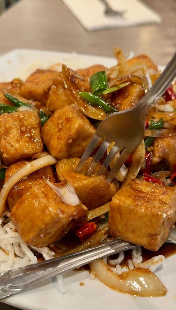 Mongolian Tofu