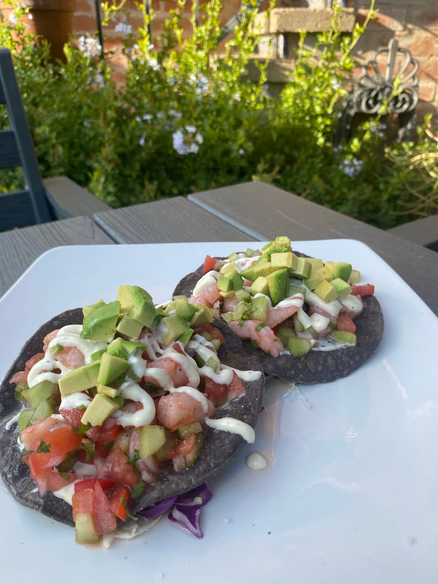 Sonoran Ceviche Blue Corn Tostadas