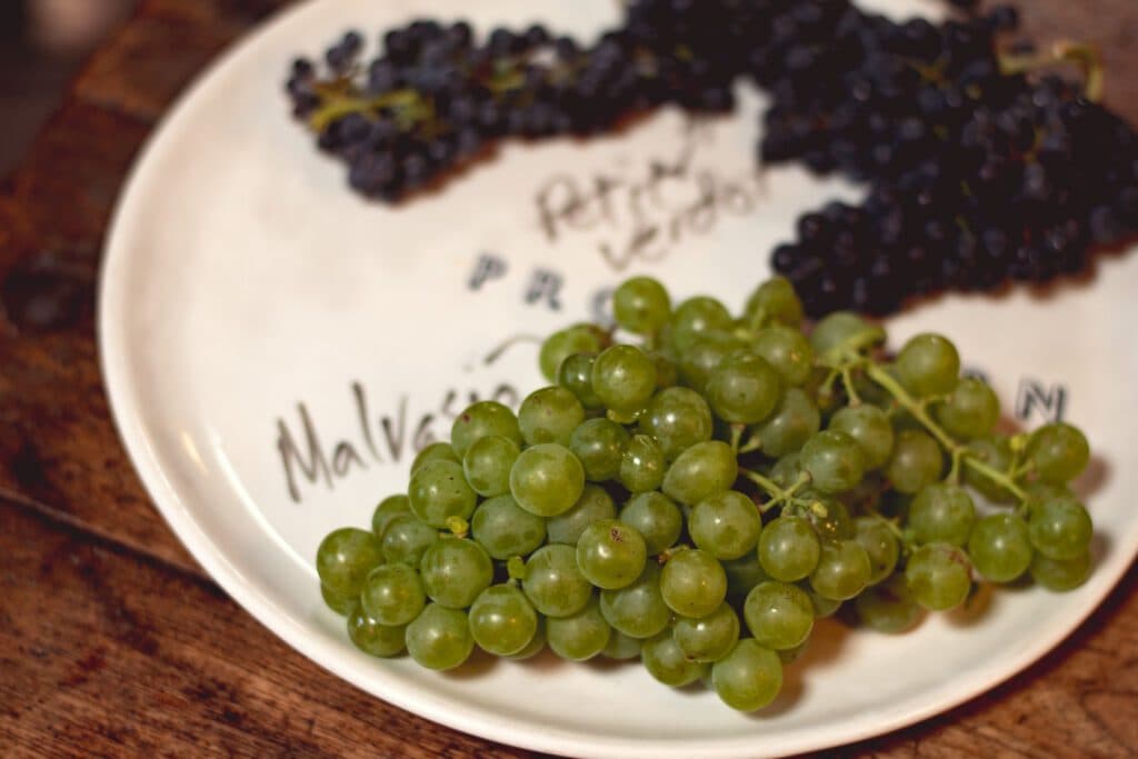 Wine Grapes Platter