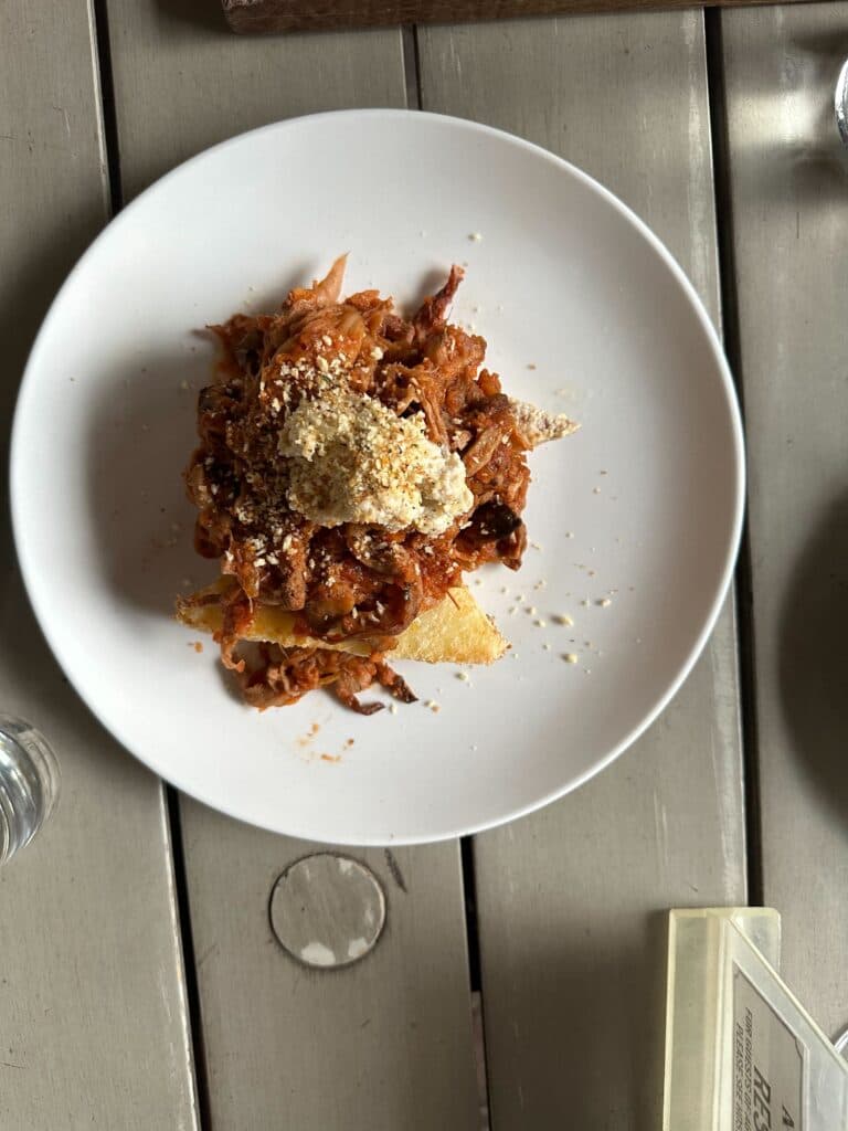 Wild Lion Mane Ragú