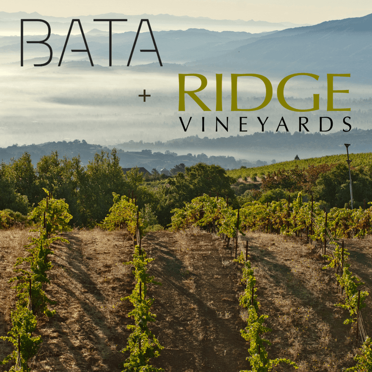 BATA + Ridge Vineyards