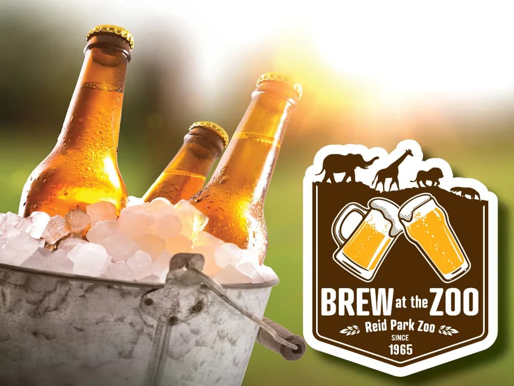 Brew at the Zoo 2025