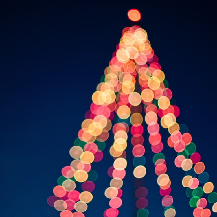 Christmas Dinner - 3 Course Prix Fixe