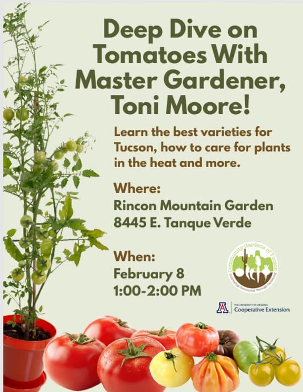 Deep Dive on Tomatoes