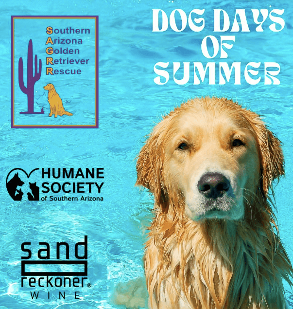 Dog Days of Summer