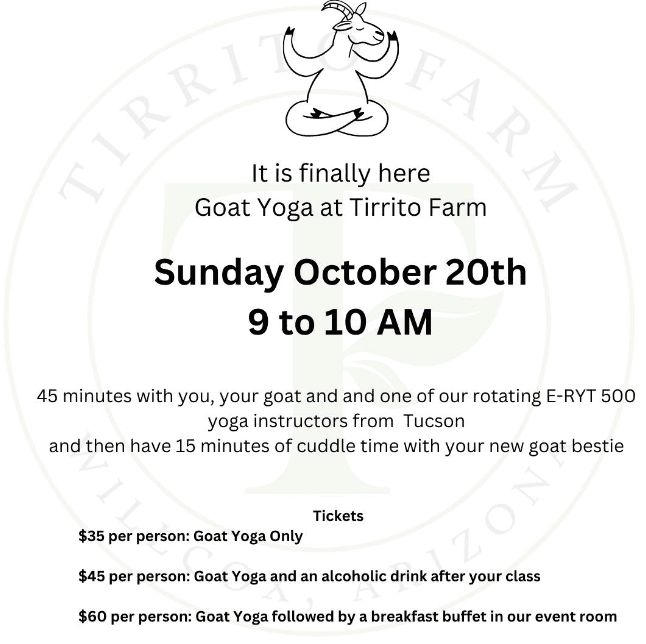 Goat yoga at Tirrito Farm