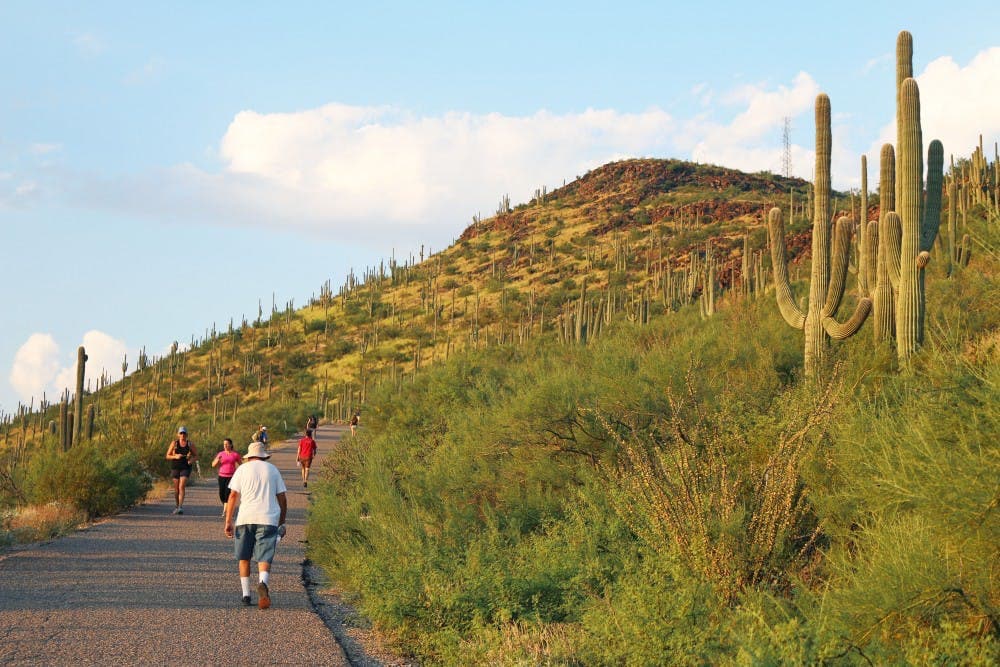 Guided Tumamoc Hill Hiking Tour