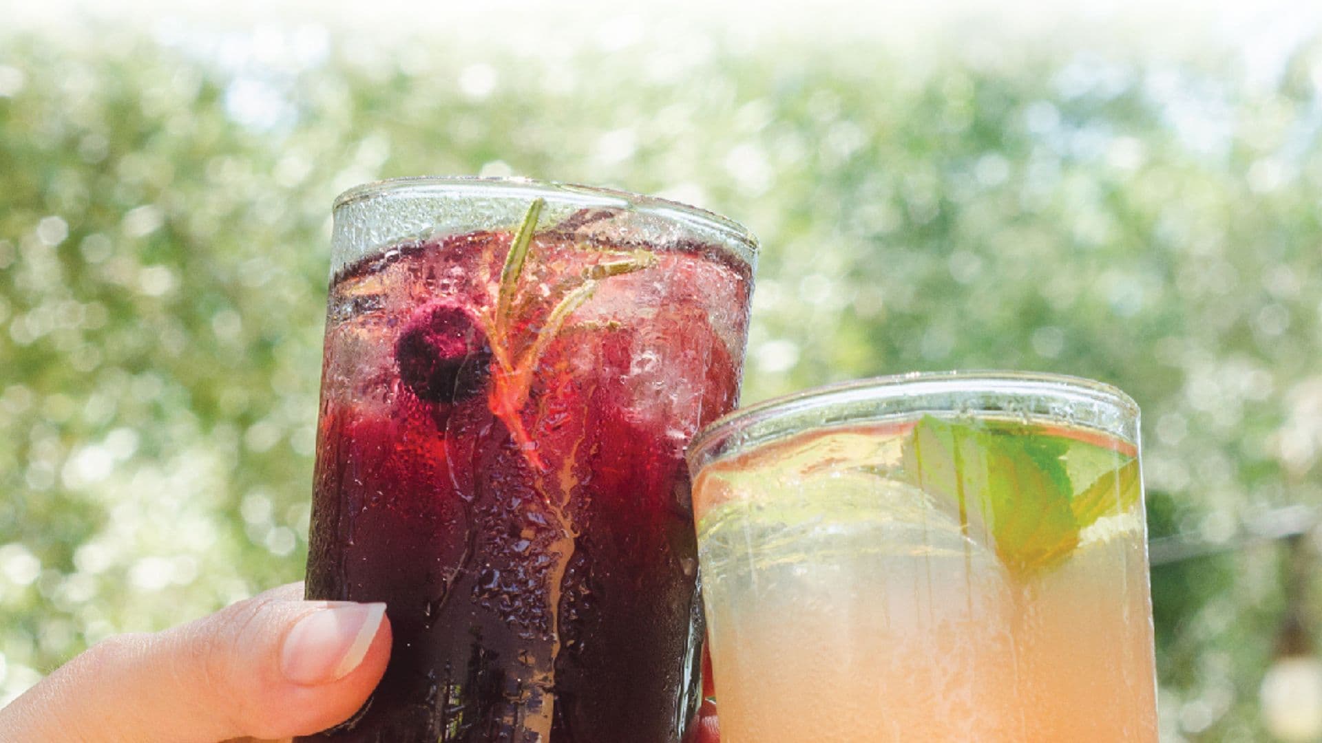 Sangria Social