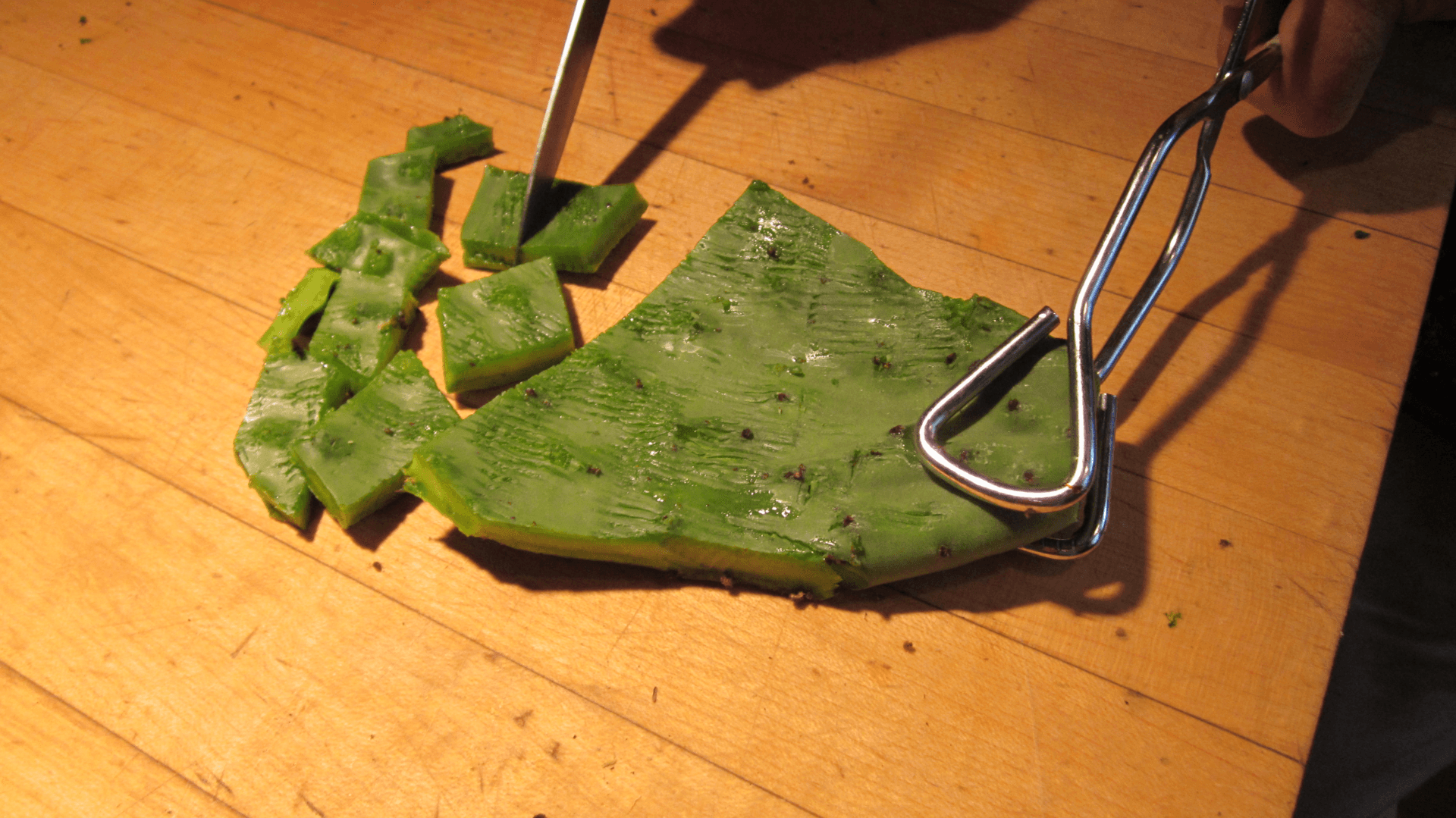 Nopalitos Workshop