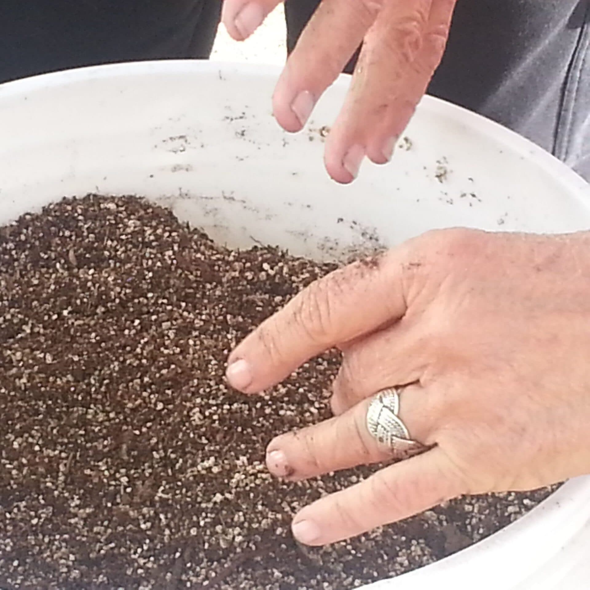 Soil Testing and Amendments
