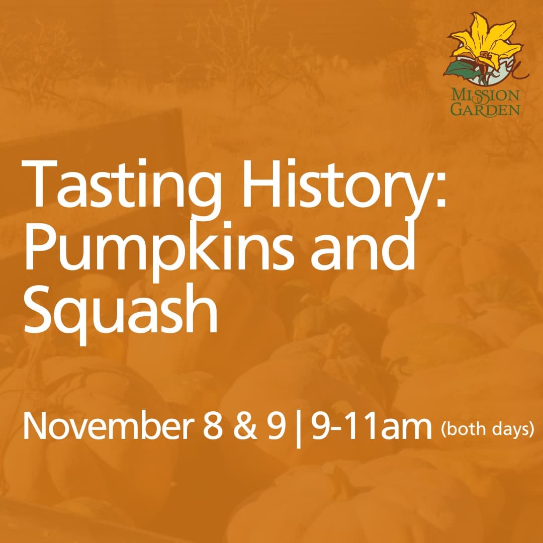 Tasting History: Pumpkins and Squash