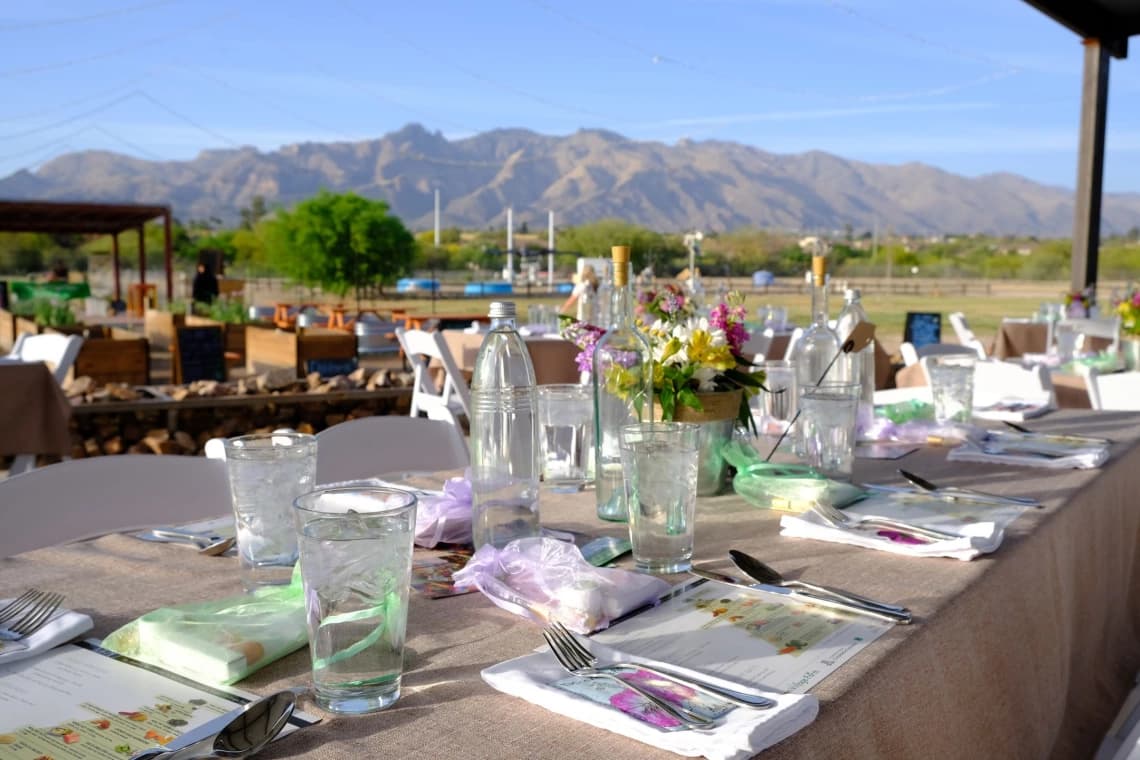 TVF Annual Spring Fundraising Dinner
