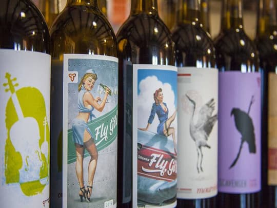 Vineyard Ventures: An Exclusive Tasting Journey with Flying Leap Vineyards & Distillery