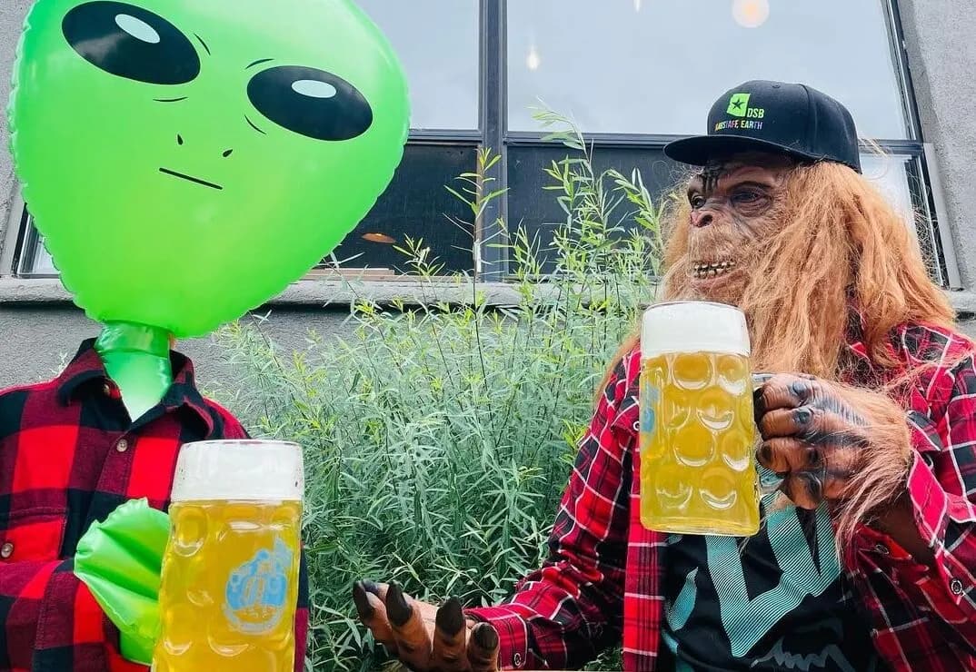 Dark Sky Brewing Co.