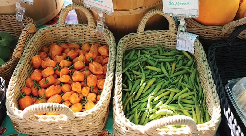 Santa Cruz River Farmers' Market