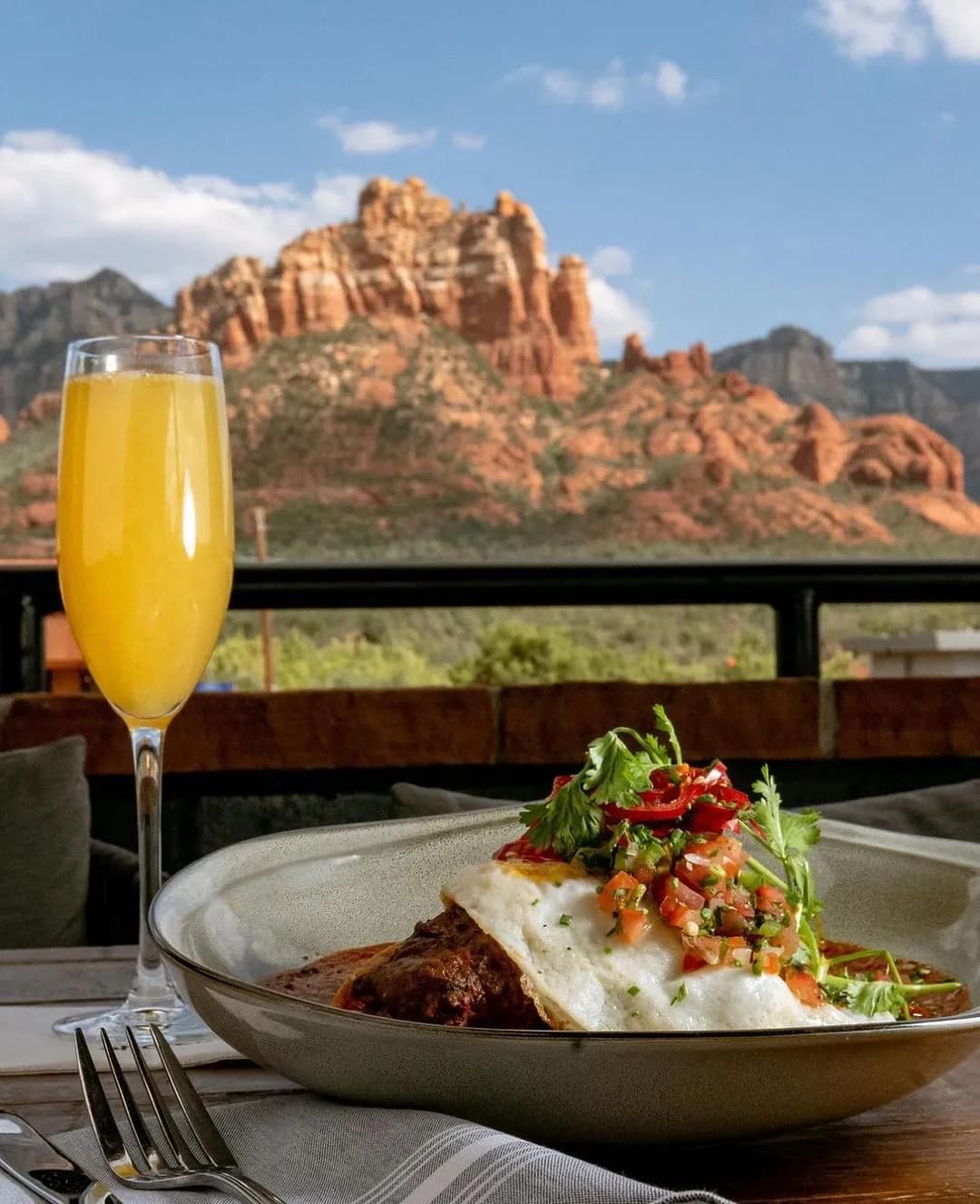 Shorebird Sedona