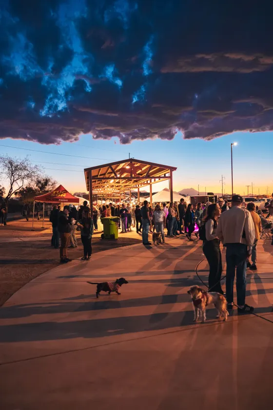 A crowd gathers under the lit pavilion at sunset, several with dogs on leashes in the foreground.
