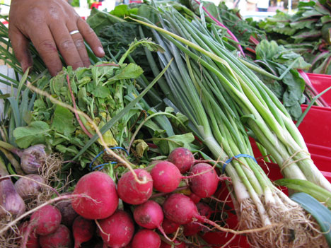 Radishes and green onions from Seasonal Fresh
