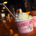 Mint Chocolate Chip Ice Cream from Isabella's Ice Cream