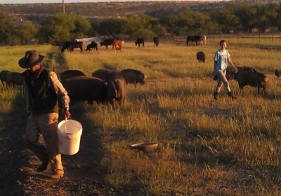 Morning Chores at Walking J Farms Tucson