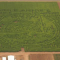 Apple Annie's 2008 Corn Maze (Photo Credit: Tucson Citizen)