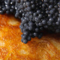 Blins with caviar (Photo credit: Amadeusz Jasak)