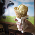 Sweet Cream Honeycomb Ice Cream at Screamery (Credit: Jackie Tran)