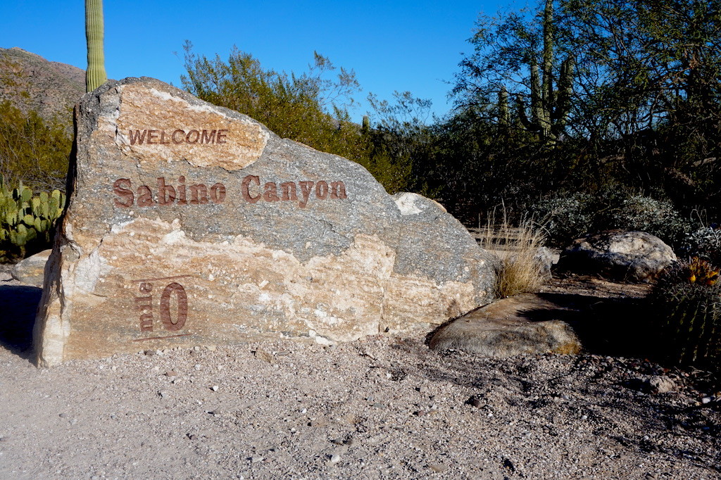 Sabino Canyon (Credit: Jennifer Stash)