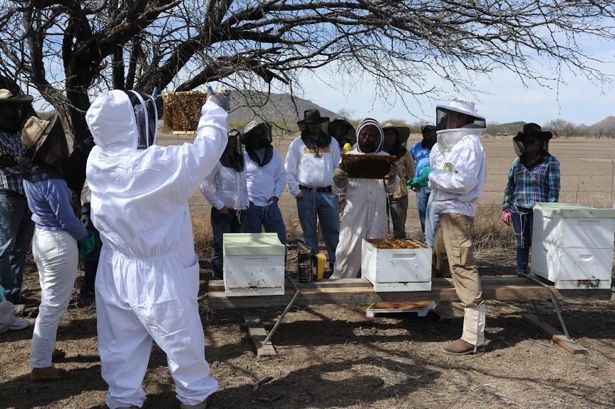 ReZoNation Farm beekeeping class (Credit: ReZoNation Farm)
