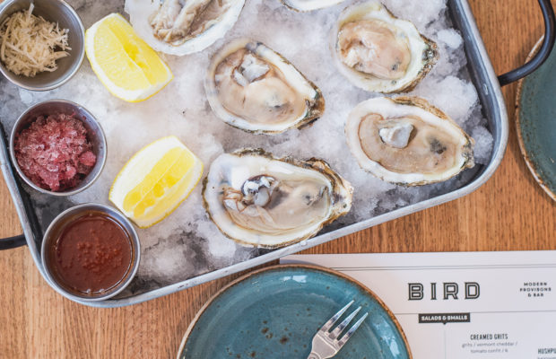 Mollusk Musts 11 Restaurants For Raw Oysters In Tucson Oysters At Bird Modern Provisions Bar Credit Jackie Tran