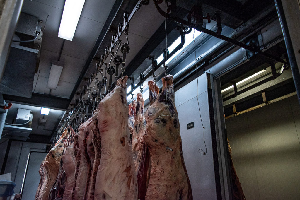 Meat hanging at the University of Arizona Food Products and Safety Laboratory (Credit: Jackie Tran)