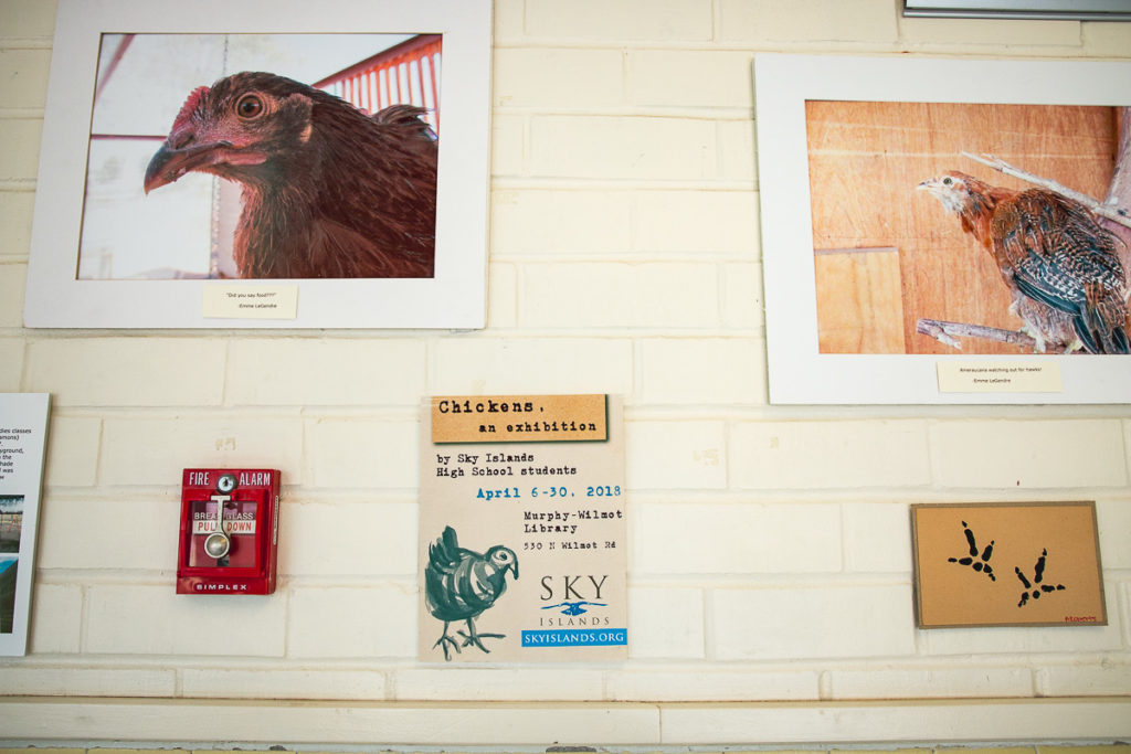 Chicken photo exhibition at Sky Islands Public High School (Credit: Jackie Tran)