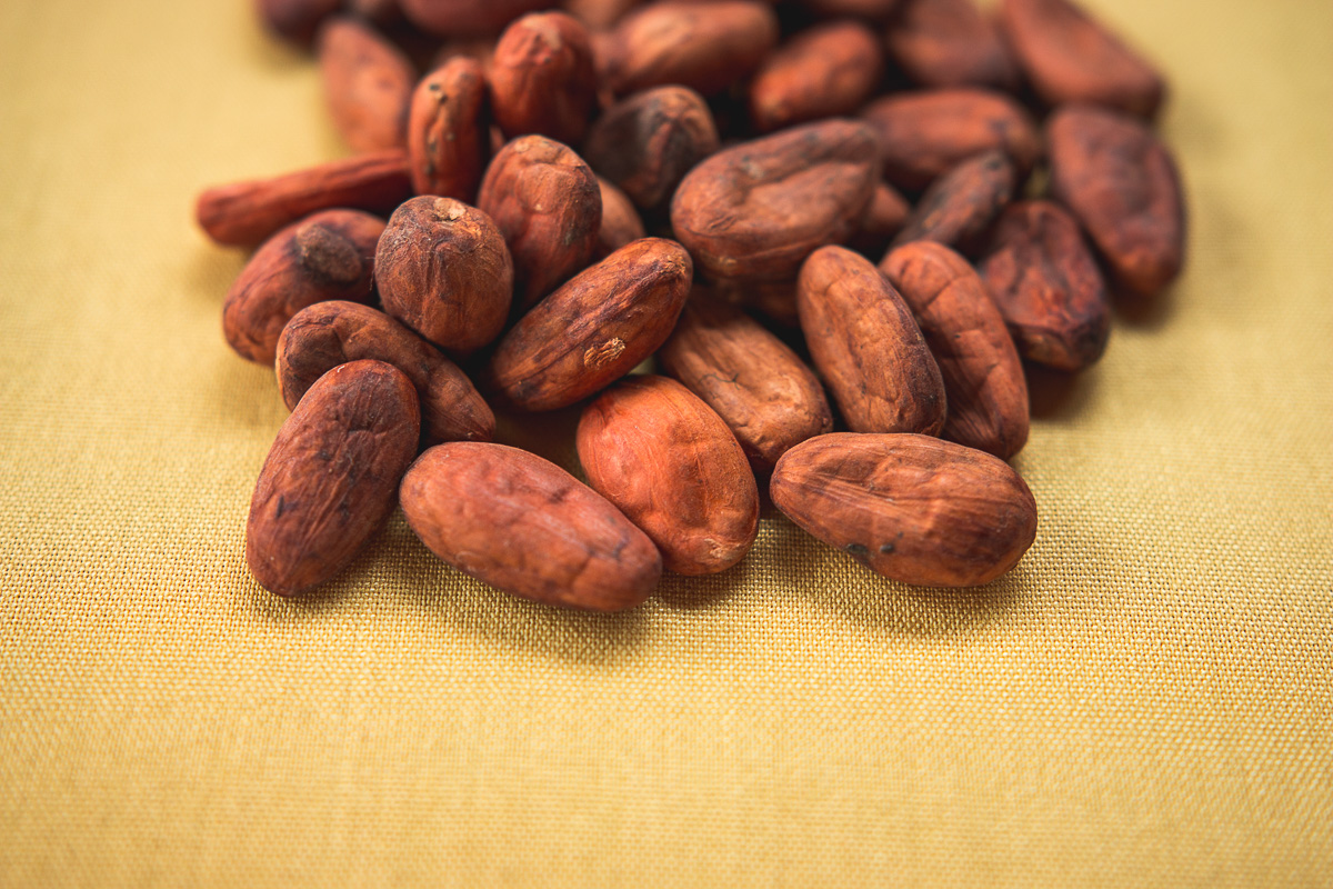 Chiapas cacao beans at La Indita (Credit: Jackie Tran)