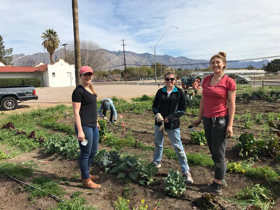 Support Tucson Village Farm With Whole Foods Market Purchases On April 18