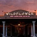 Wildflower-facade