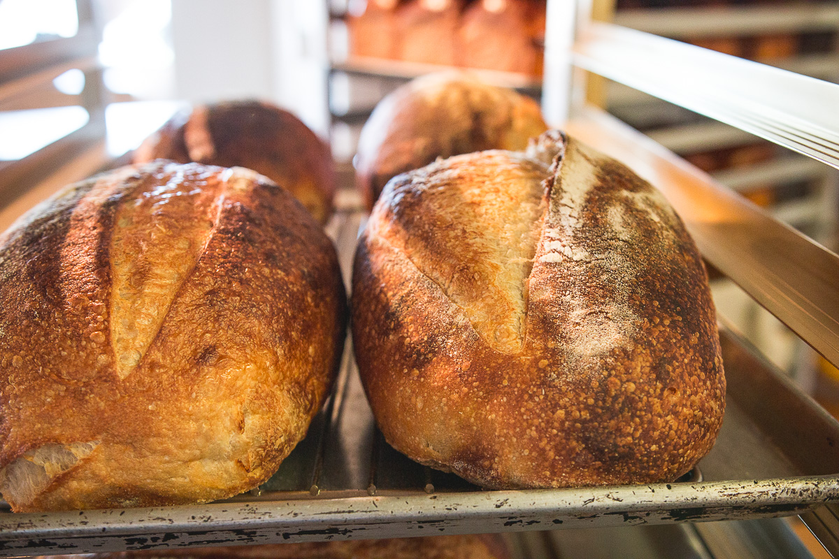 Sourdough bread loafs at August Rhodes Market