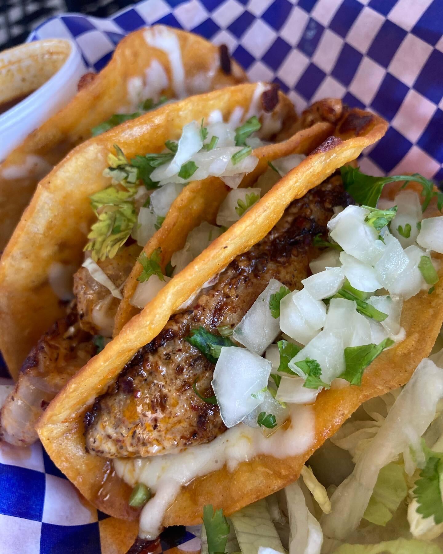 Mahi-mahi quesabirria tacos at El Taco Rustico (Photo by Shane Reiser)
