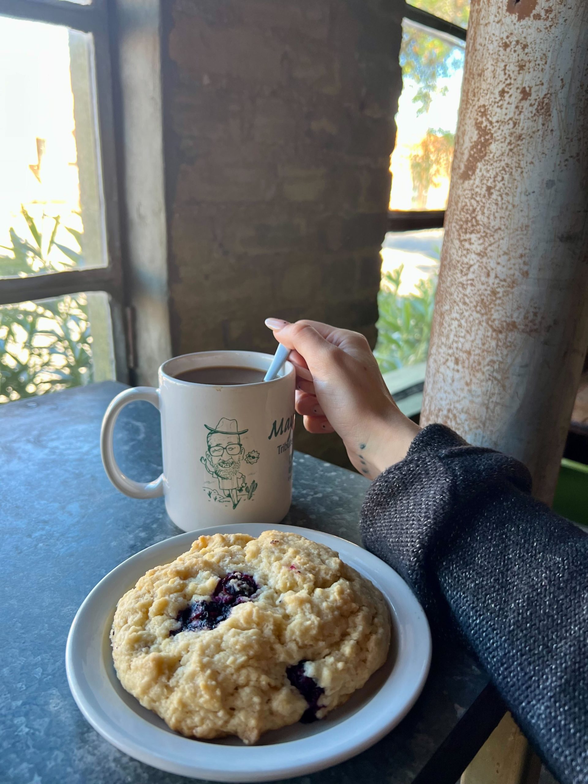 Blueberry scone at Tooley’s Cafe (Photo by Hannah Hernandez)