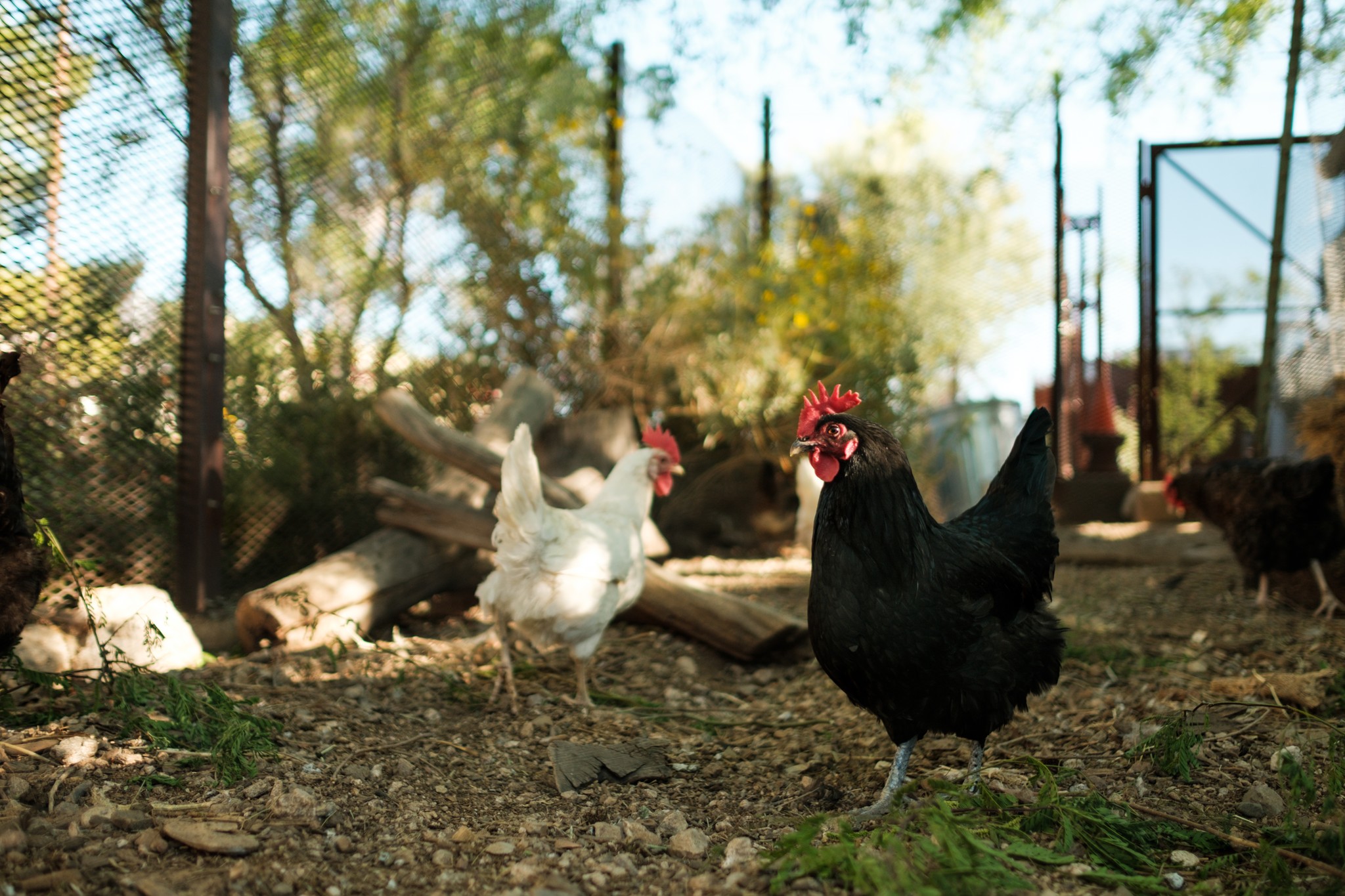 (Photo courtesy of Watershed Management Group)